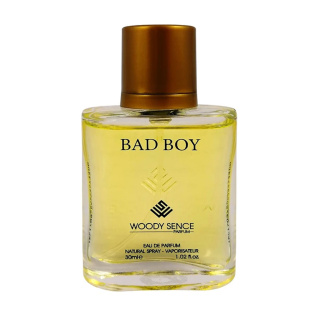 Bad Boy